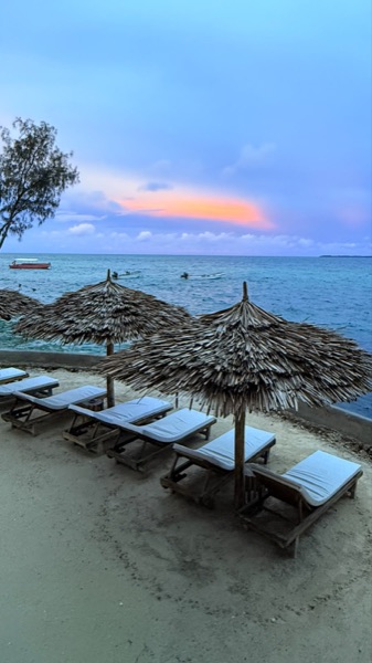 Beach sunbeds at dusk with purple sky
