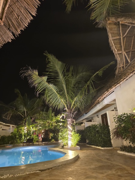 Pool illuminated at night with tropical garden