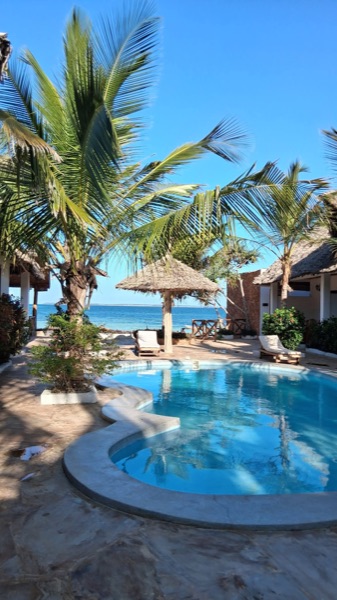 Pool with palm trees and ocean view